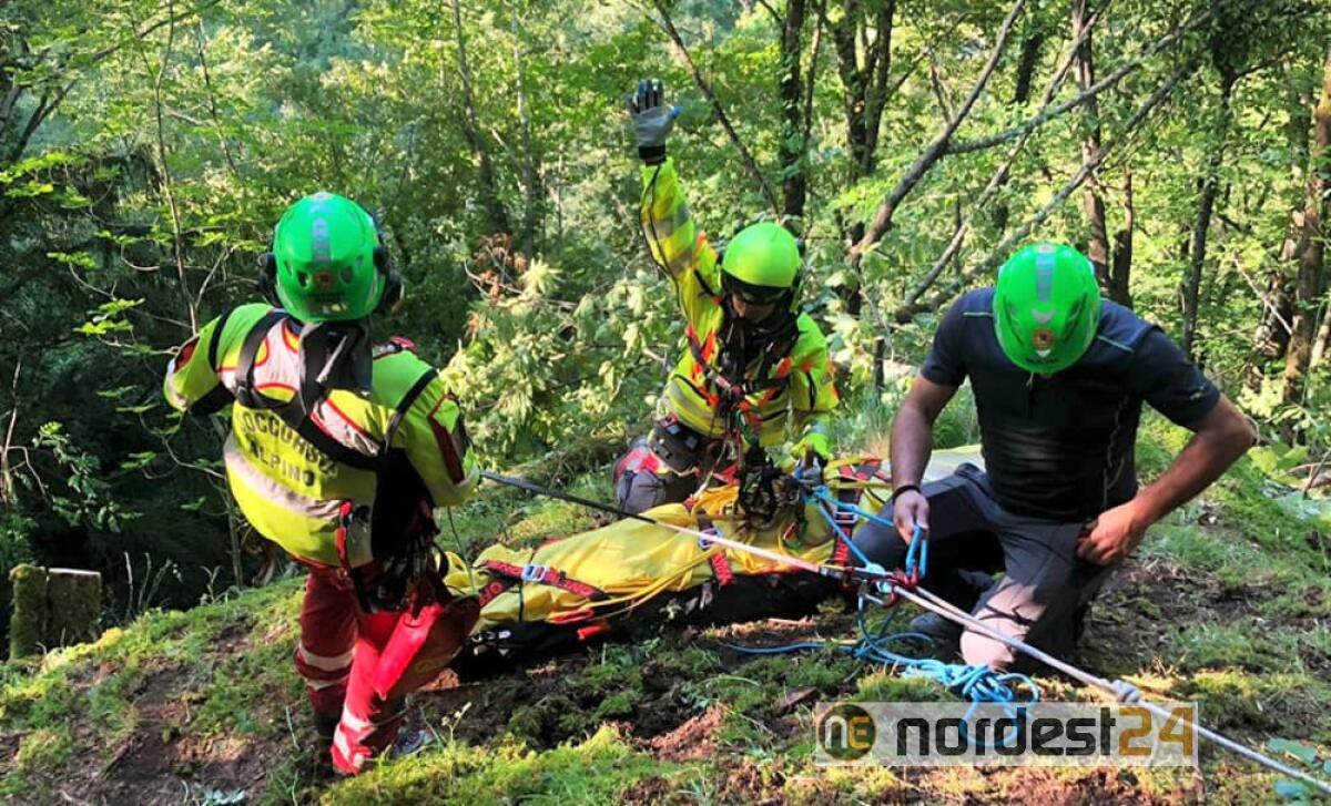 Punta dalle vespe nelle Alpi Carniche: allertano i soccorsi sotto shock - 