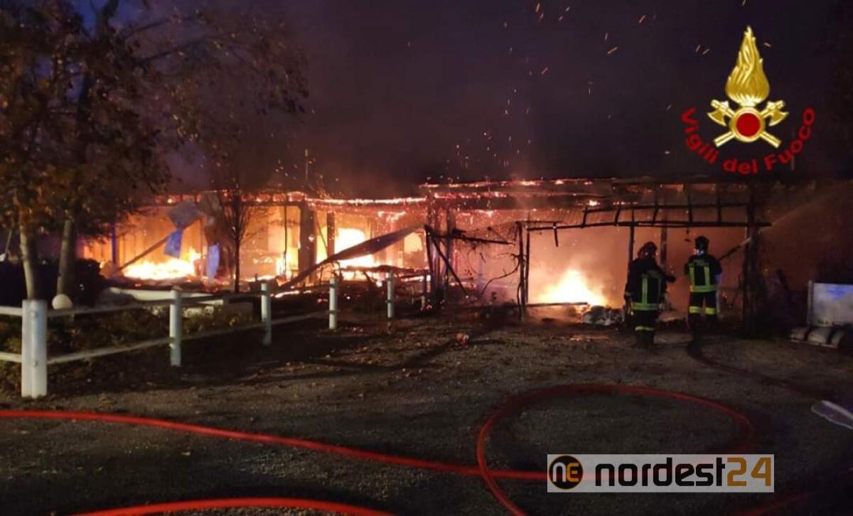 Incendio a Villorba: azienda agricola "Nonno Andrea" distrutta dalle fiamme - 