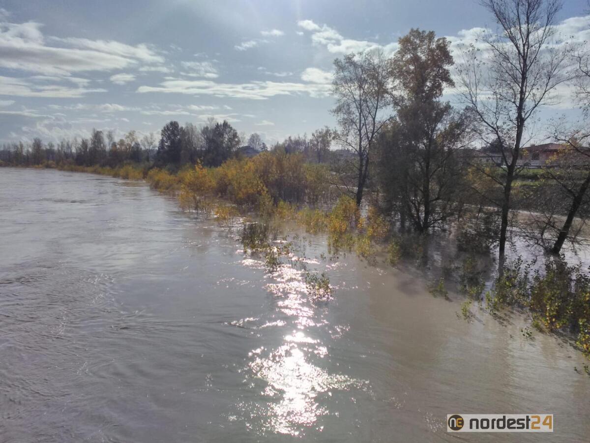 Pericolo Tagliamento per San Michele e Latisana: domani l'incontro con Autorità di Bacino - 