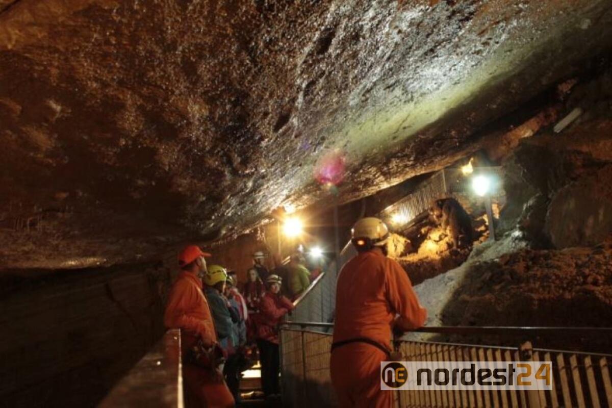 Alla Grotta Nuova di Villanova una domenica dedicata alla speleologia - 