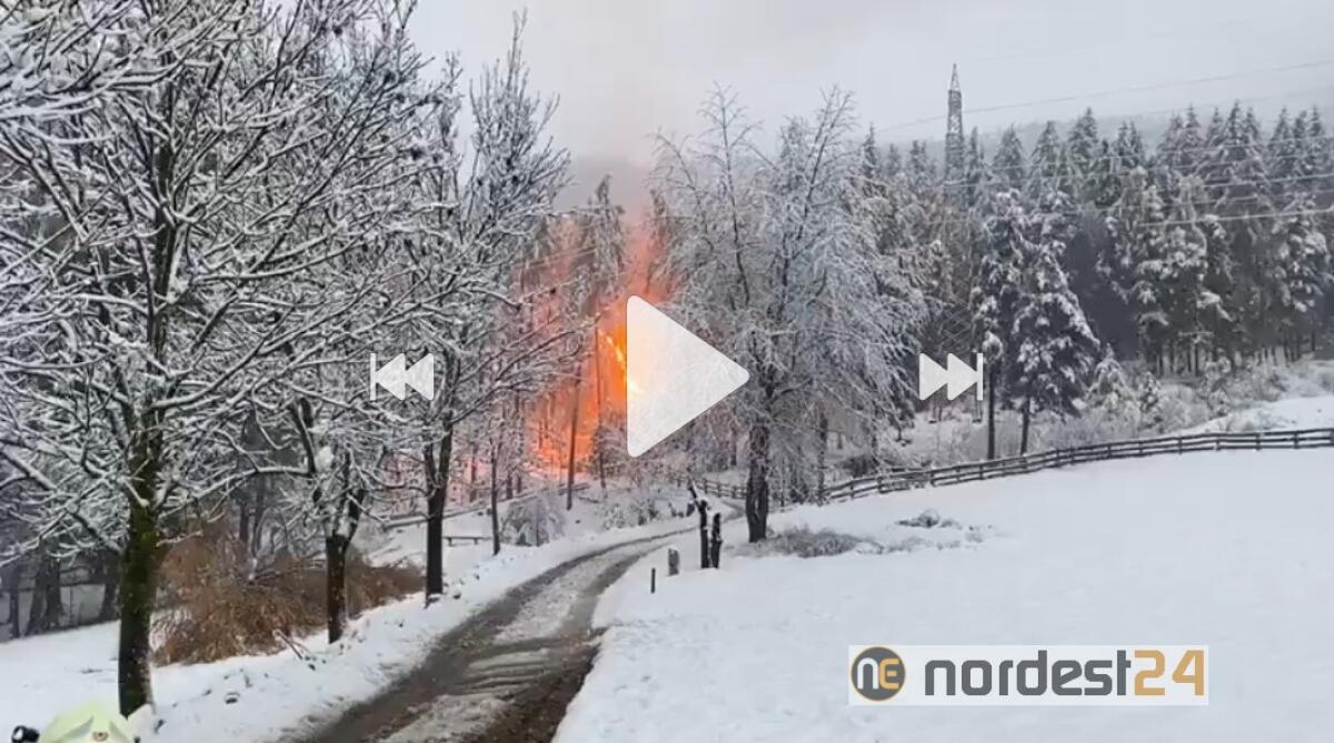 Si stacca un cavo dell'alta tensione: le conseguenze sono impressionanti - 