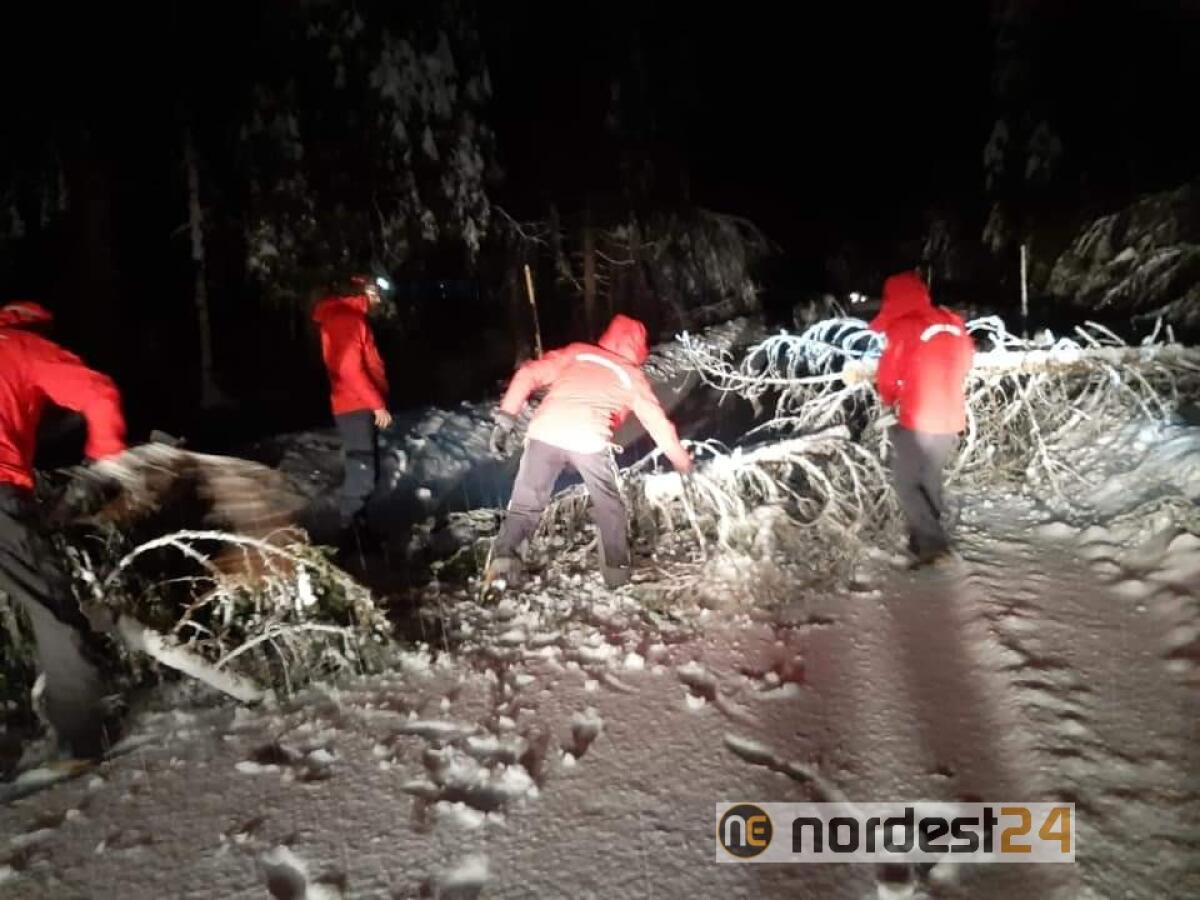 Maltempo, alberi in strada: Misurina isolata - 