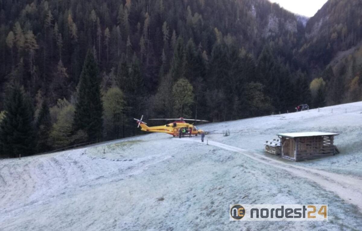 Investito da un tronco: giovane boscaiolo ferito gravemente - 