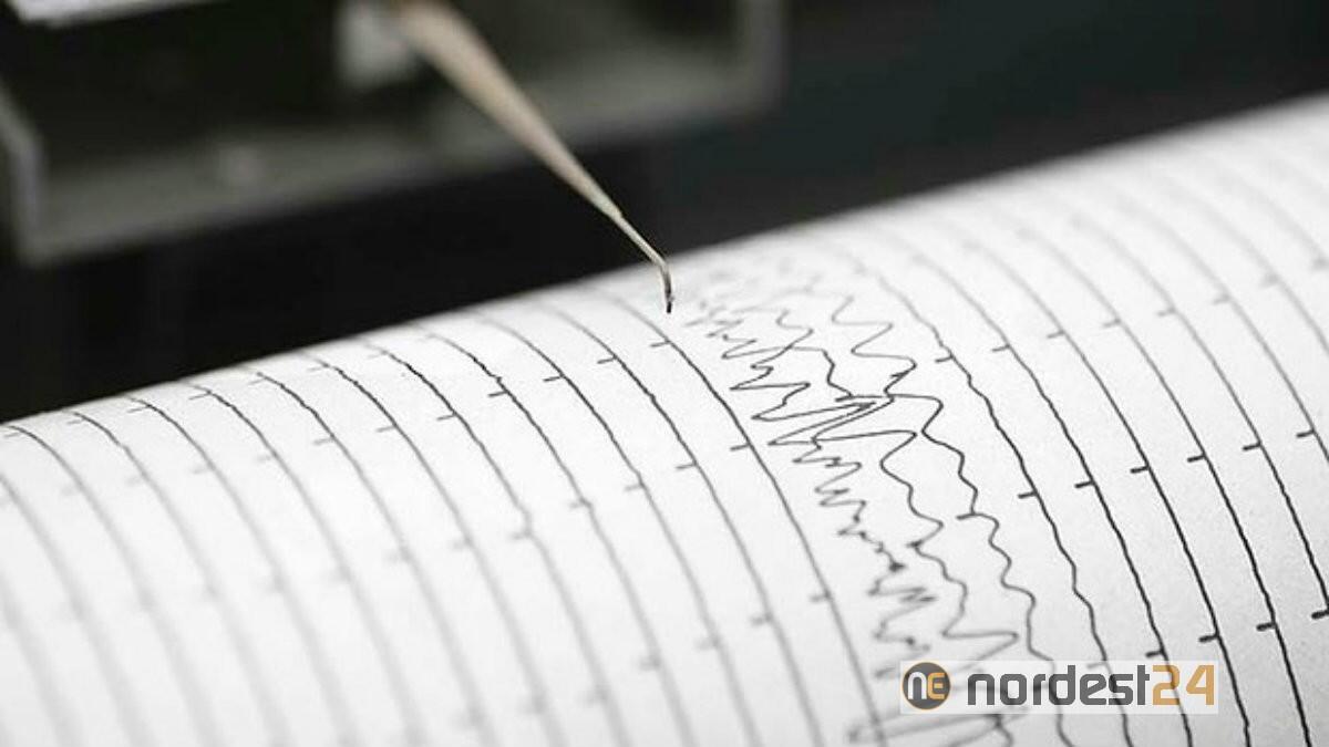 Scossa di terremoto in Friuli: trema la terra in Carnia - 