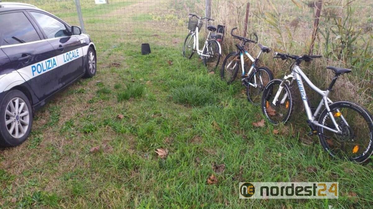 Jesolo. La Polizia scopre deposito di bici rubate, riconoscete la vostra? - 