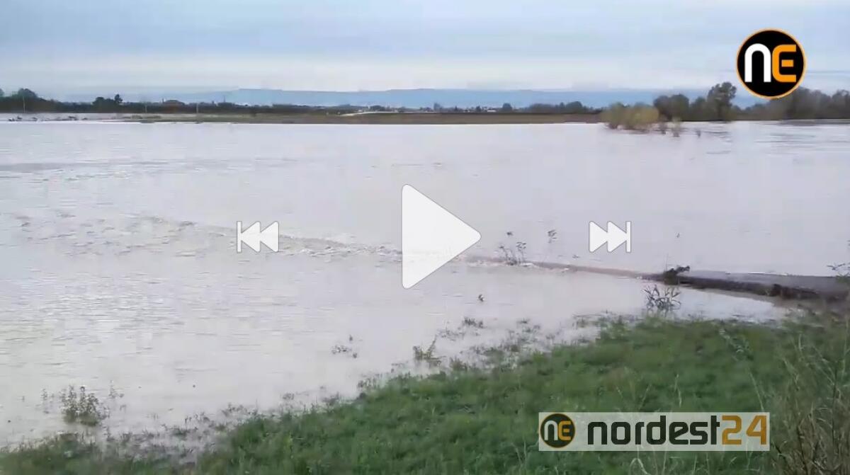 Piena del Tagliamento: a Cesarolo esonda il Cavrato - 
