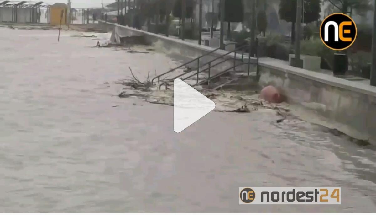 Maltempo, allerta a Bibione: il mare divora la spiaggia - VIDEO - 