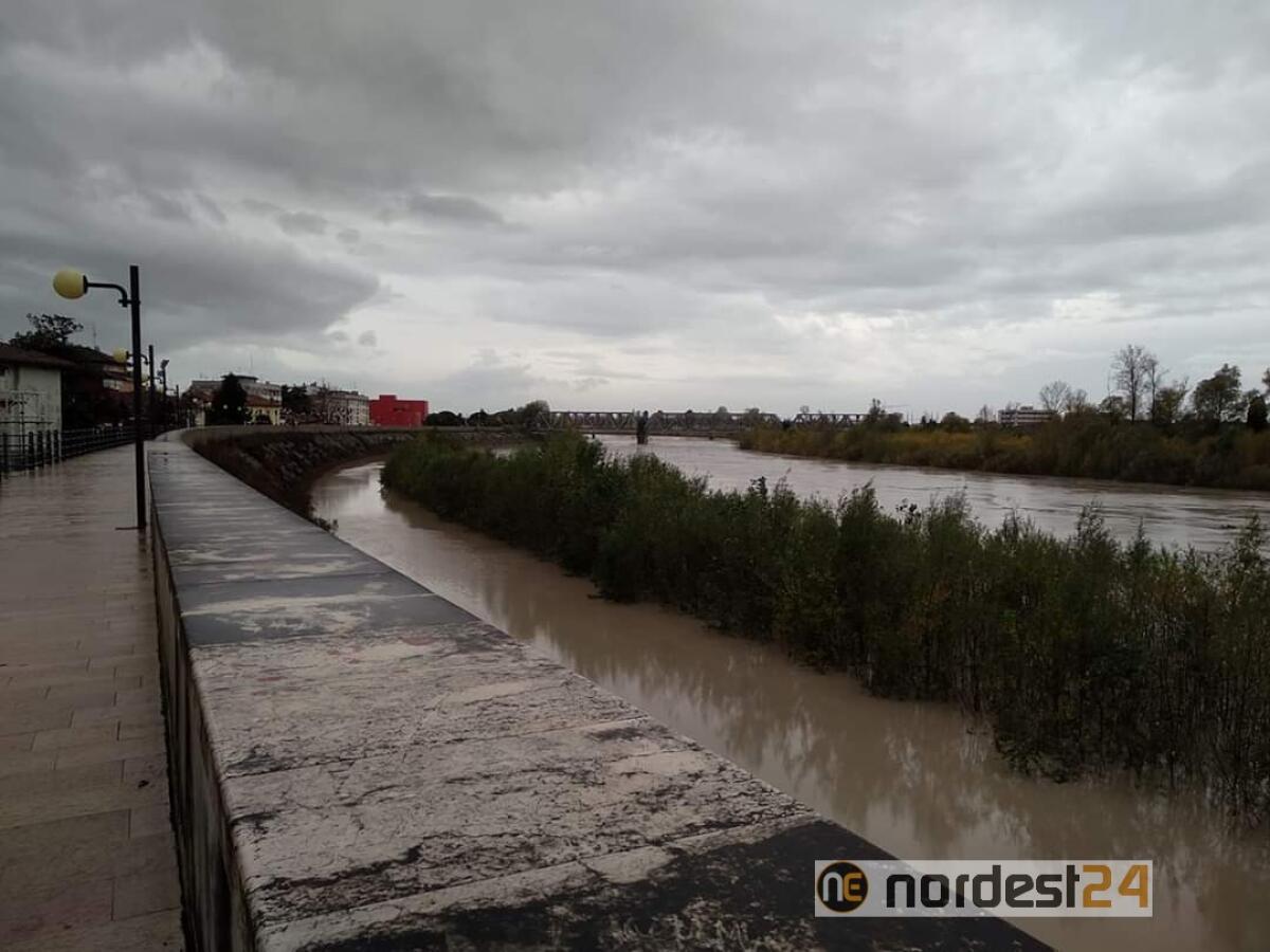 Piena del Tagliamento a Latisana nella notte, tra gli 8 e i 9 metri - 