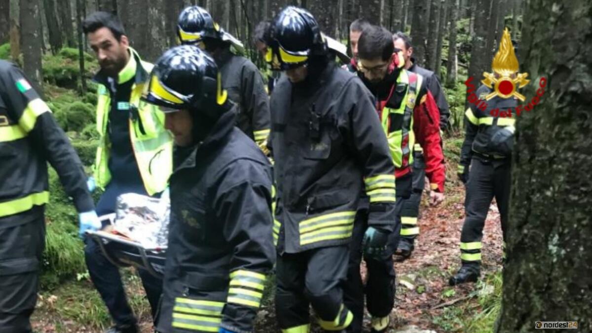 Ferito durante il taglio di una pianta: soccorso operaio forestale - 