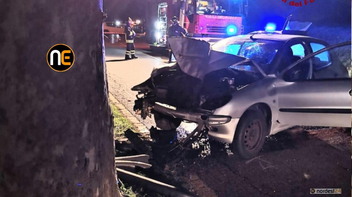 Incidente a Conselve, schianto contro l'albero: morto 54enne - 
