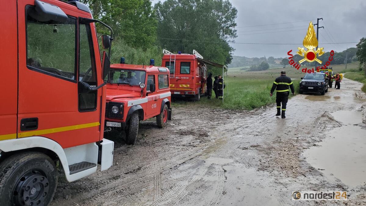 Ragazzo scomparso a Cervignano del Friuli: ricerche disperate - 