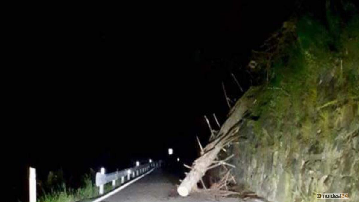 Tromba d'aria a Lestans (PN): tetti scoperchiati, alberi a terra e strada chiusa - 