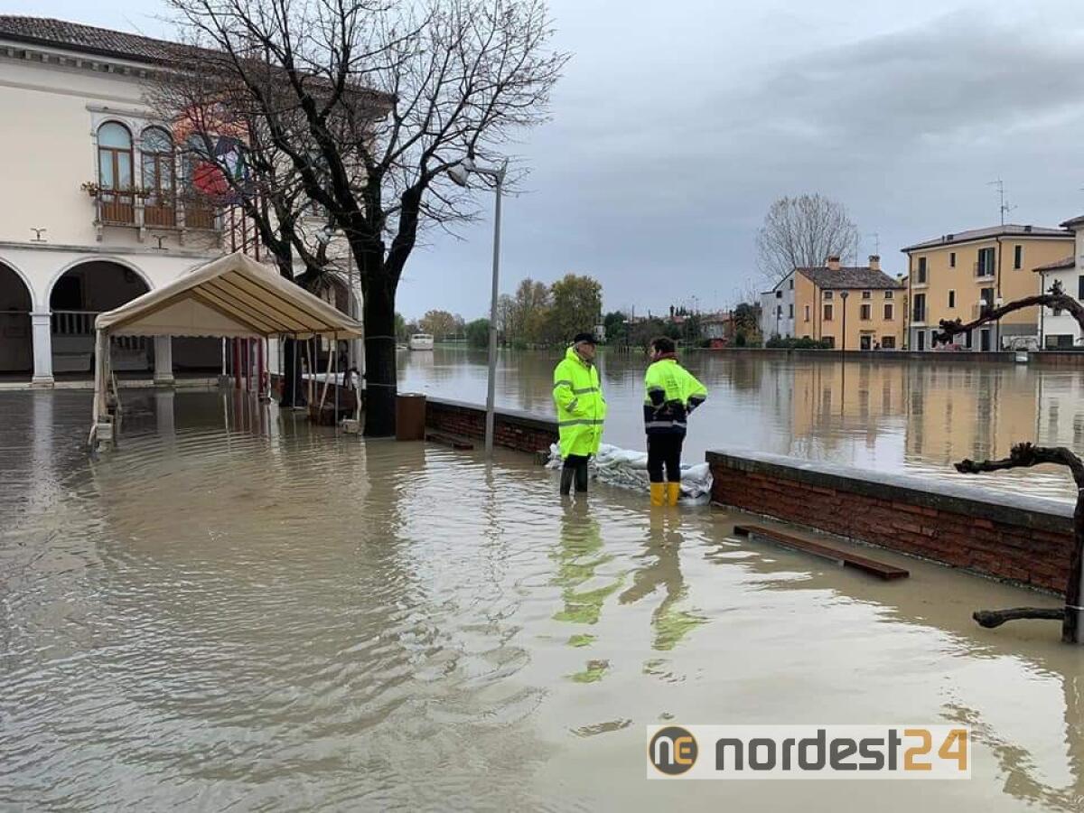 Concordia Sagittaria, maxi lavoro per i volontari: giù oltre 3000 sacchi - 
