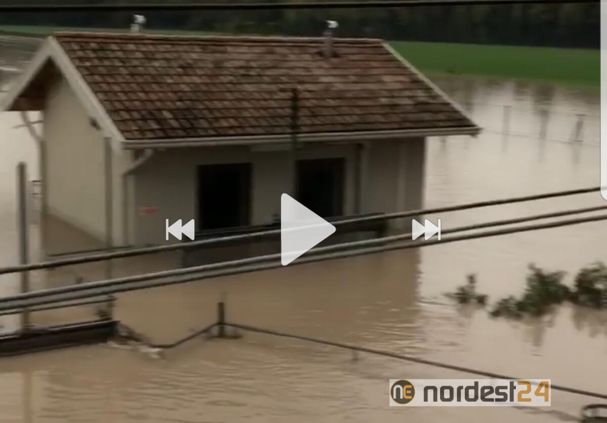 A Varmo il Tagliamento preoccupa: all'apice della piena - VIDEO - 