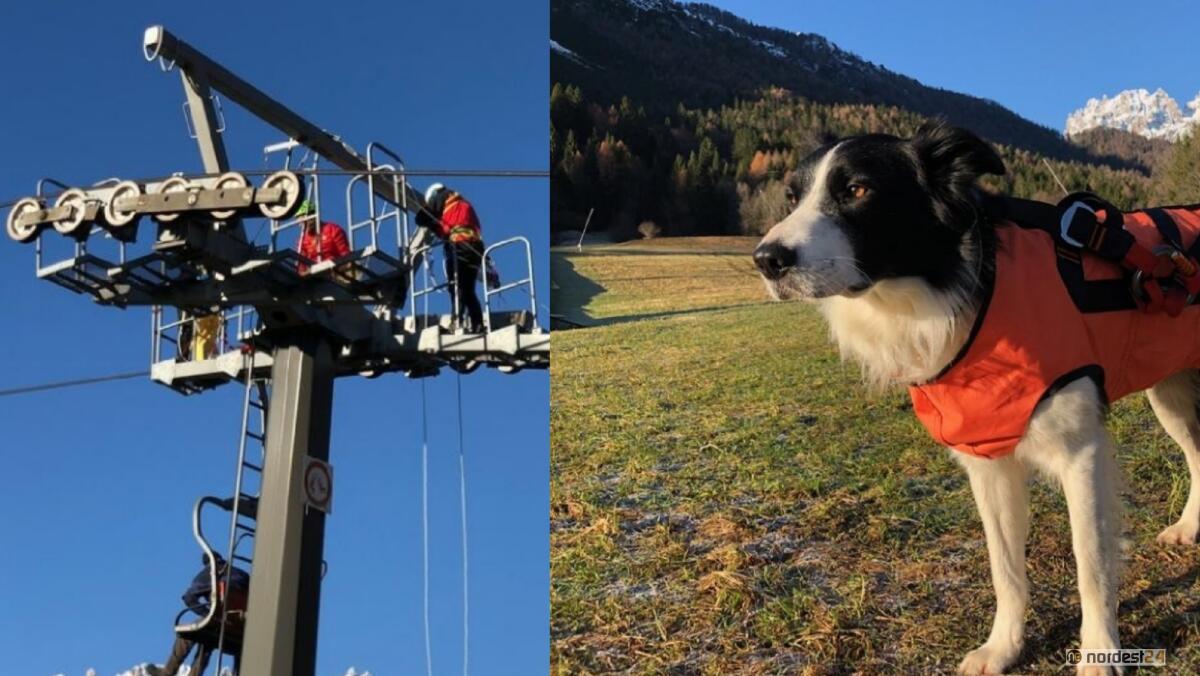 Soccorso sugli impianti a fune a Forni di Sopra: novità per i bambini e i cani - 