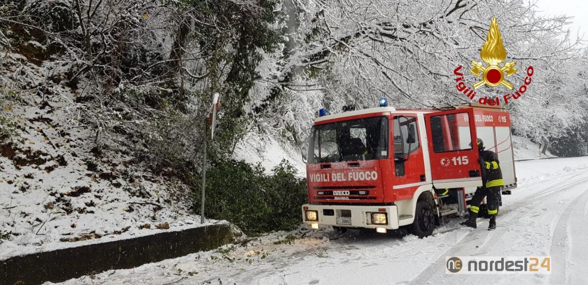 Arcugnano. Alberi appesantiti dalla neve cadono sulla sede stradale - 