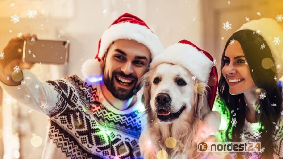 A Caorle c'è il dog sitter al mercatino di Natale in spiaggia - 