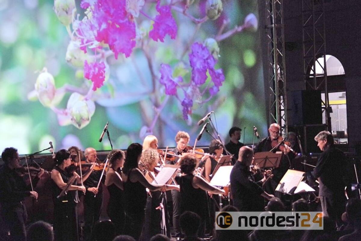 Trieste, l'8 dicembre torna il concerto dell'Immacolata con l'Orchestra da Camera Fvg - 