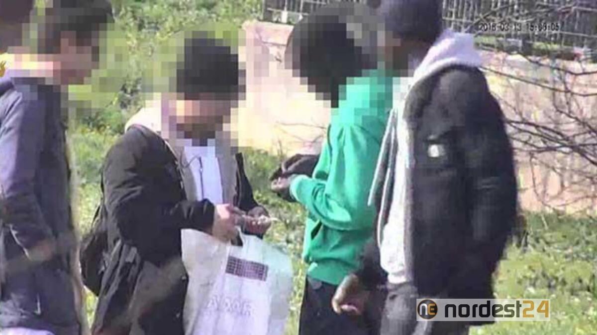 In treno da Udine a Pordenone per spacciare: 20enne afghano denunciato - 