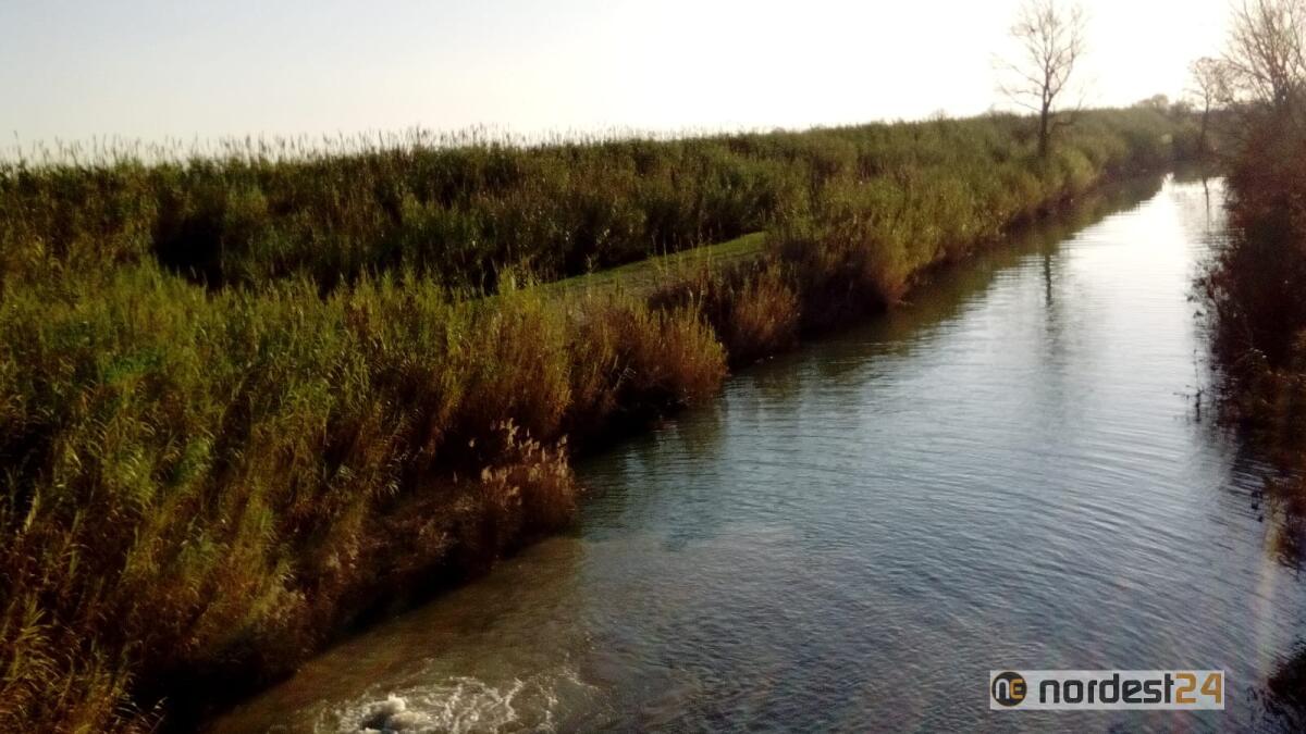 San Michele al Tagliamento. Allarme nutrie, volpi, tassi: indeboliscono argini fiume Tagliamento - 