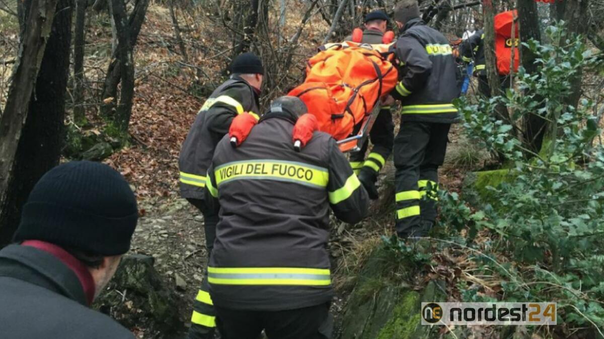 Caneva, ciclista precipita in discesa nel bosco del Cansiglio: è grave - 