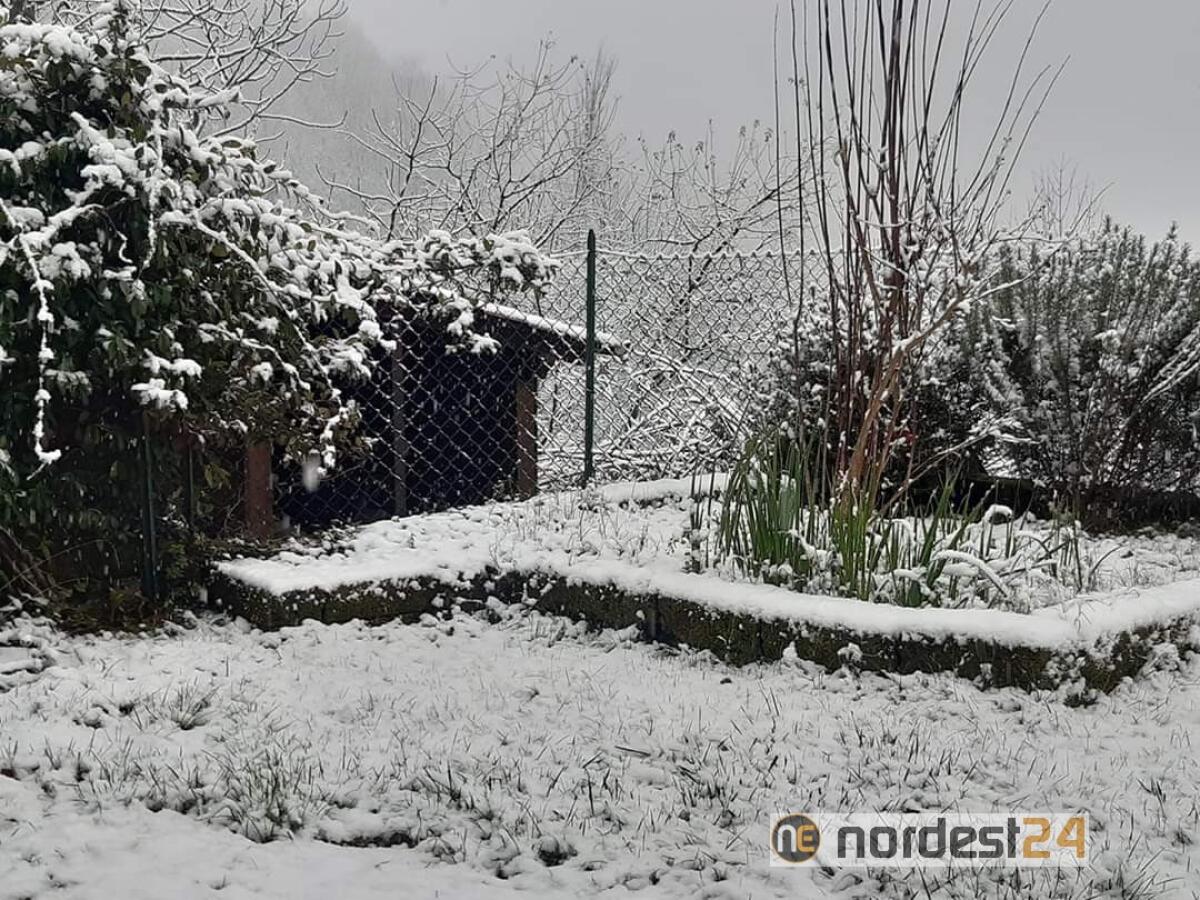Meteo, nevica in pianura: ecco dove - 