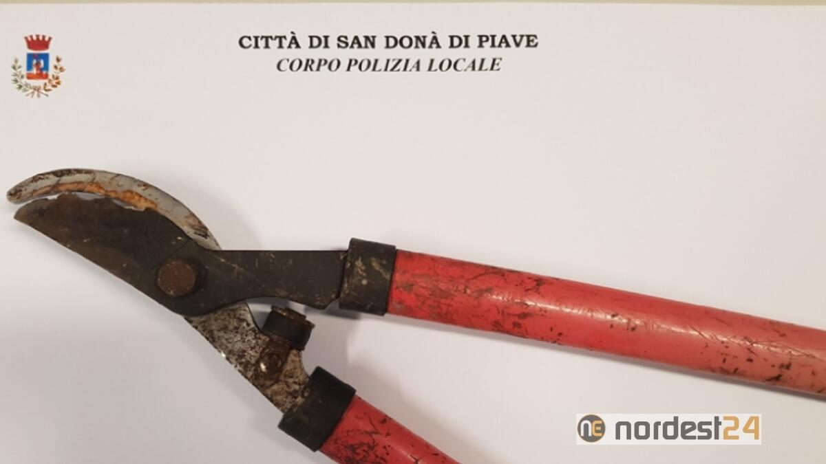 San Donà di Piave. Cesoia in mano sta per rubare la bici, ma la Polizia lo blocca - 