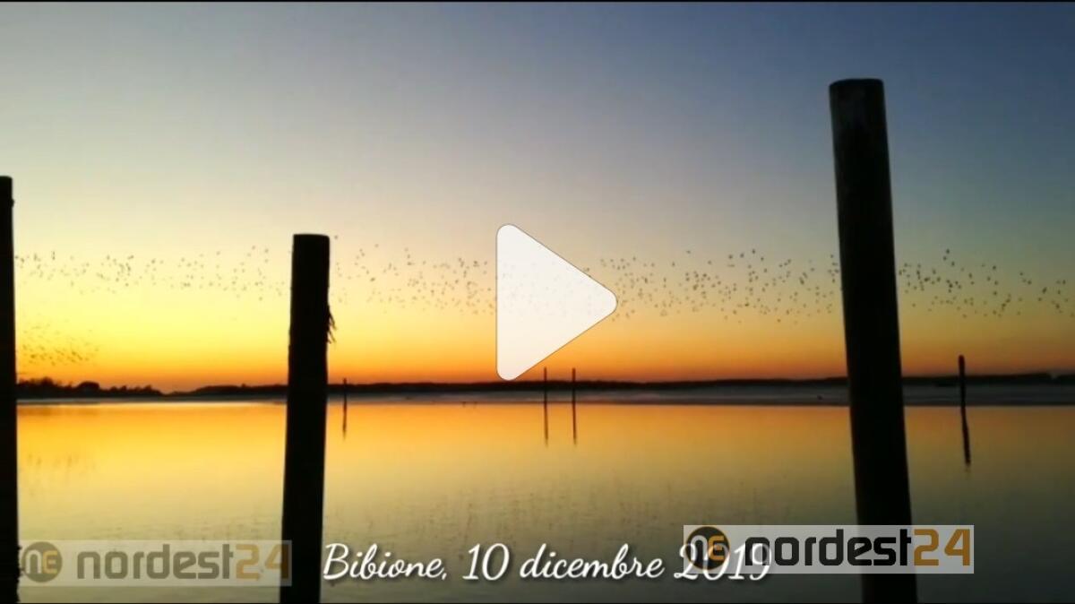 Tramonto mozzafiato a Bibione, 10 dicembre 2019 - VIDEO - 
