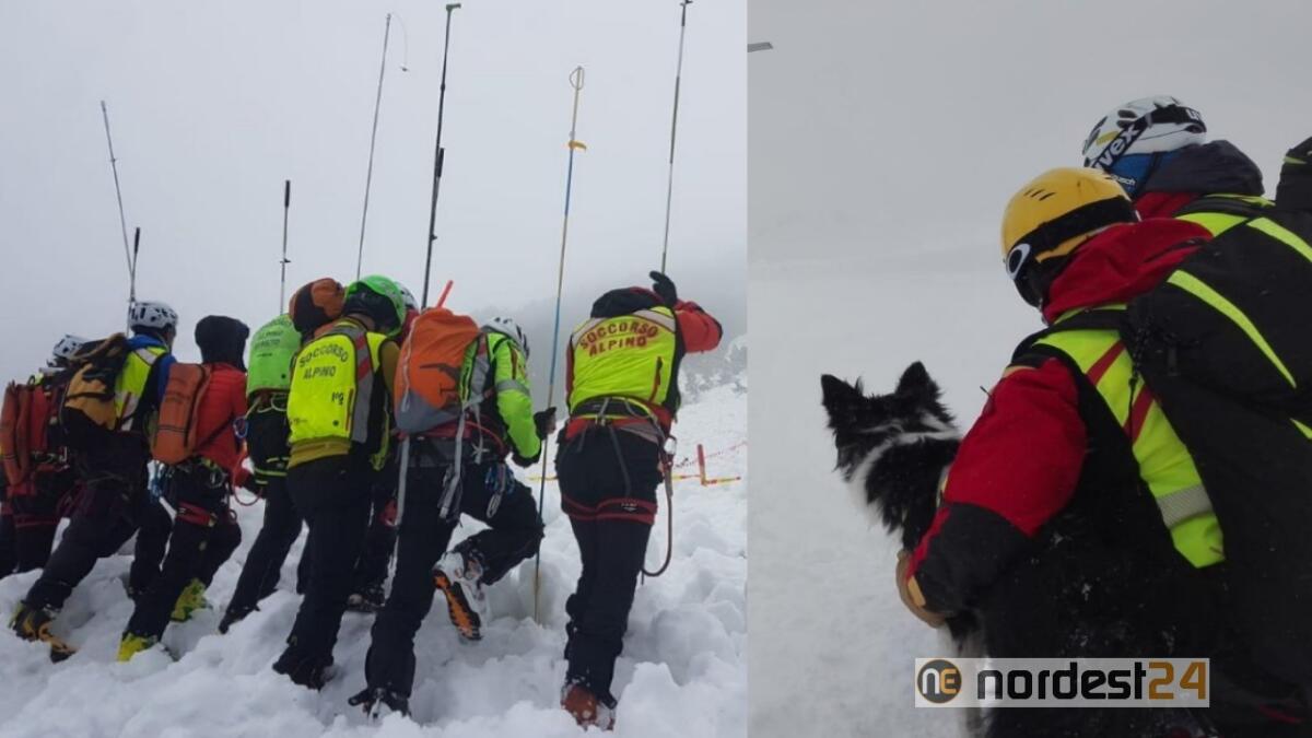 Due valanghe sulle piste del bellunese: operatori e cani al lavoro - 