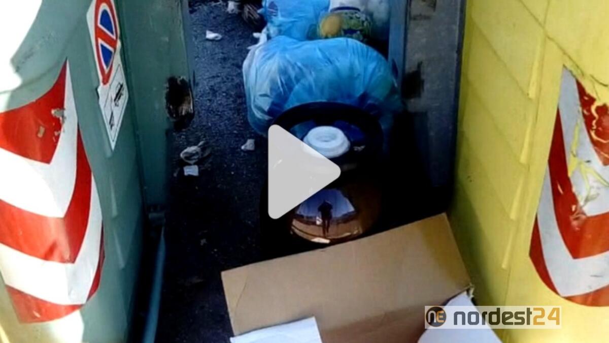 Udine, discarica a cielo aperto in viale Palmanova: rifiuti e tv abbandonati accanto ai bidoni - 