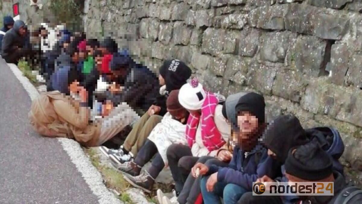 Ultim'ora. Rintracciati 46 migranti a Basovizza (TS) - 