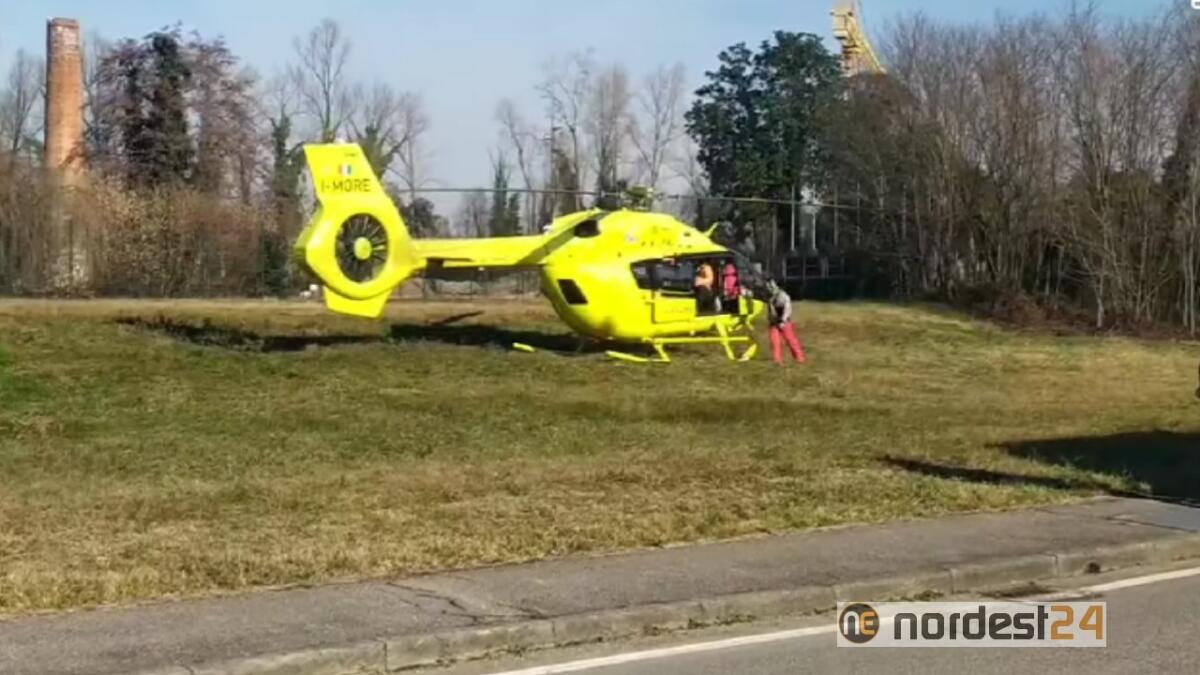 Cade mentre pota l'albero: ferito un uomo - 