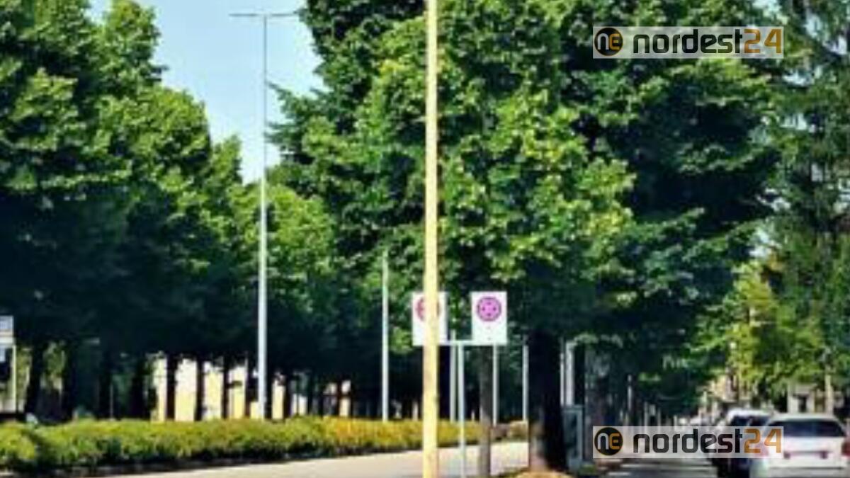 Udine, taglio alberi di viale Venezia: "ci incateneremo ai tronchi" - 