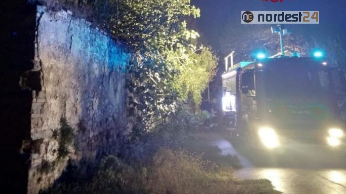 Paluzza, incendio doloso alla colonia felina: morti 3 gatti - 