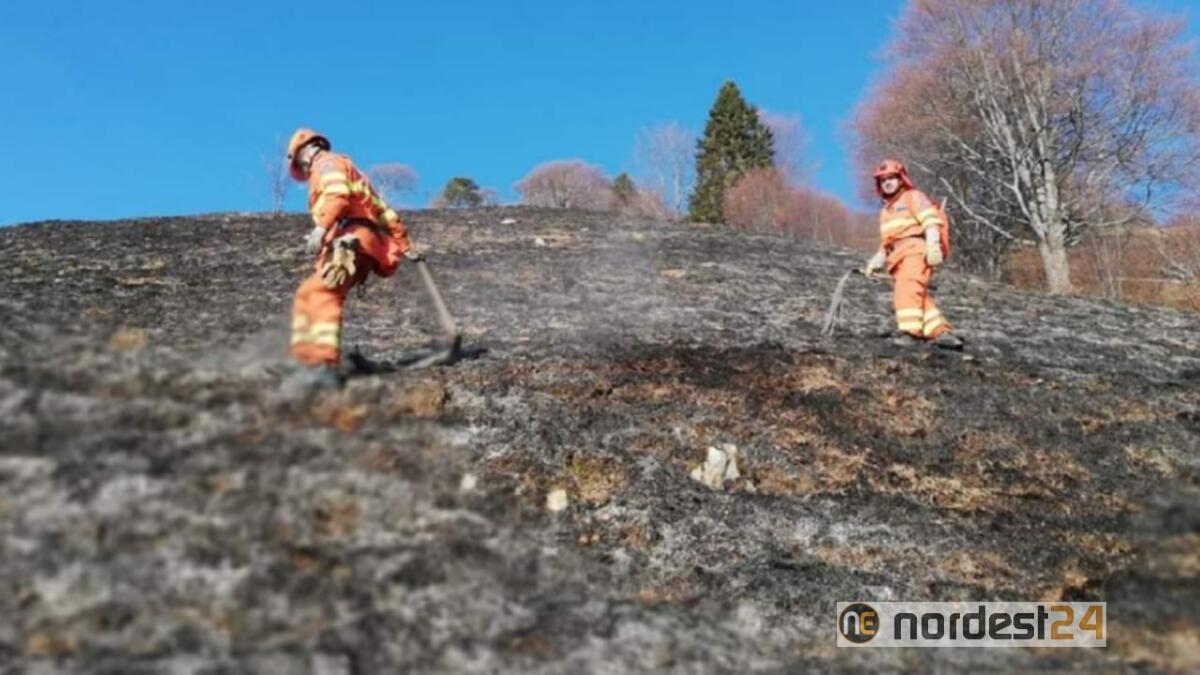 Domato l'incendio sul Monte Vas grazie ai "volontari di valore" - 