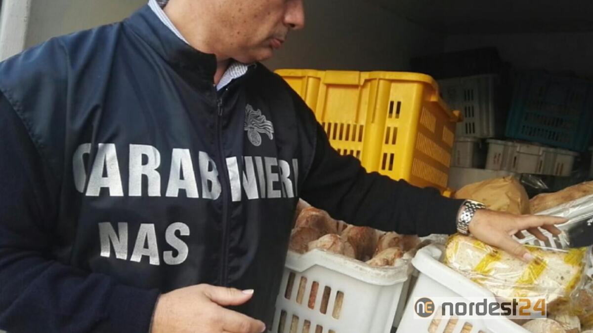 Udine, bilancio 2019 dei NAS: 1.414 ispezioni e 3 tonnellate di alimenti sequestrati - 