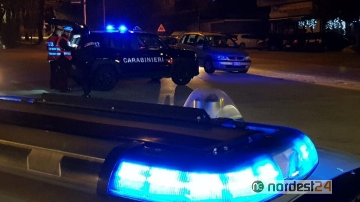 Maxi furto in casa a Udine: bottino da 50.000 euro - 