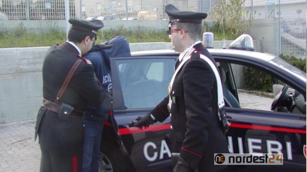Truffe sulla vendita di auto on-line: arrestato 48enne di Tavagnacco - 