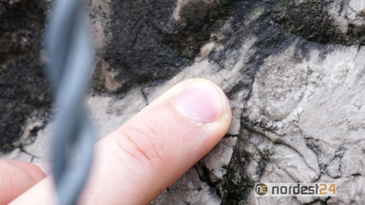 Rilevamenti geologici in A4. Collaborazione fra Univ. di Trieste, Regione Fvg e Autovie - 