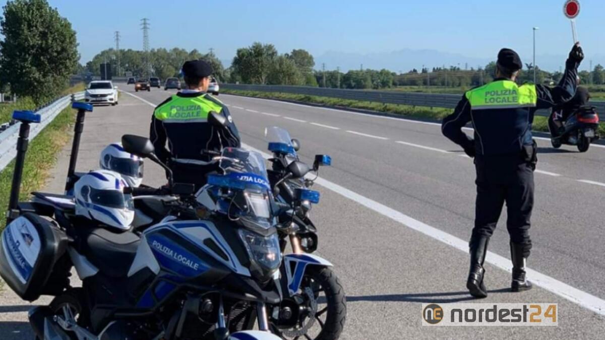 Portogruaro. Maxi impegno nel 2019 per la Polizia Locale: le attività - 