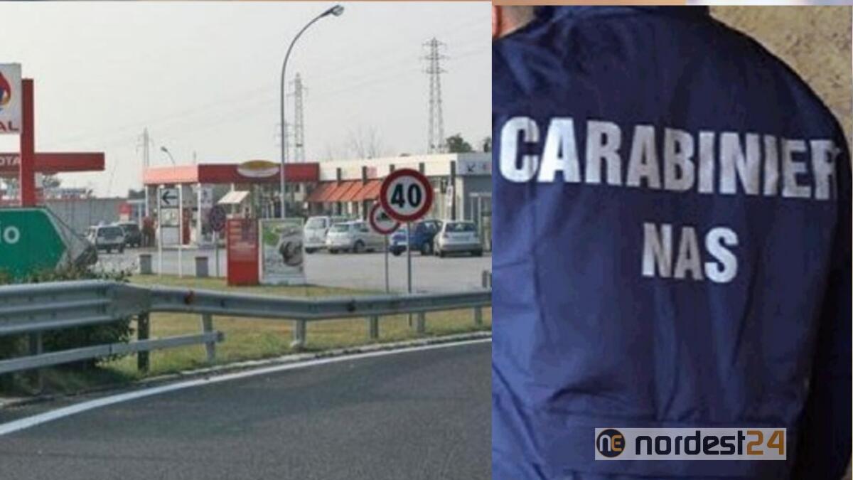 Blitz dei NAS: gravi carenze igienico-sanitarie all'area di servizio Duino nord - 