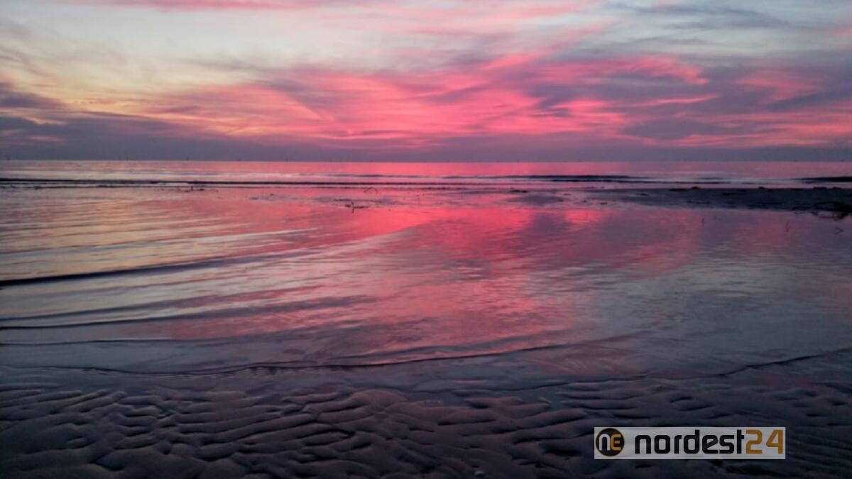 La magia dell'alba a Lignano oggi 22 gennaio 2020 - 