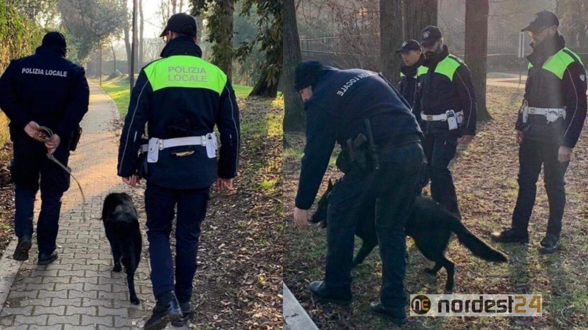 A Portogruaro lotta allo spaccio: al setaccio parchi, bus e stazione dei treni - 