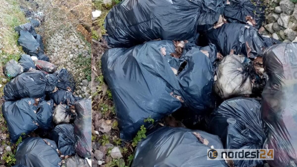 San Michele al T. Scaricano 40 sacchi di rifiuti in un fossato: scoperta una famiglia - 