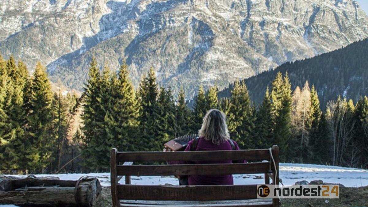 A Quarto d’Altino “La voce del bosco”, il docufilm di Dimitri Feltrin sulla tempesta Vaia - 