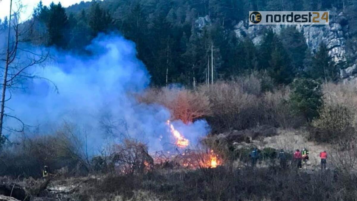 Incendio boschivo ad Auronzo di Cadore - 