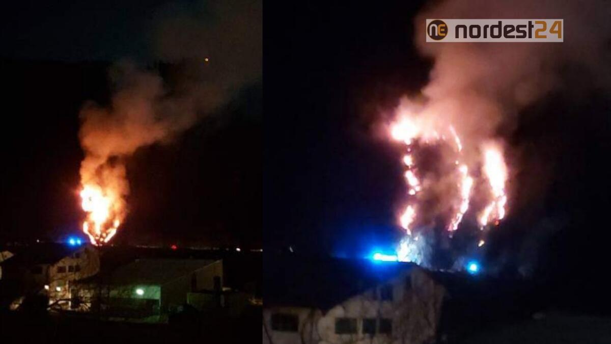 Vasto incendio: bruciano i boschi a Cedarchis di Arta Terme - 