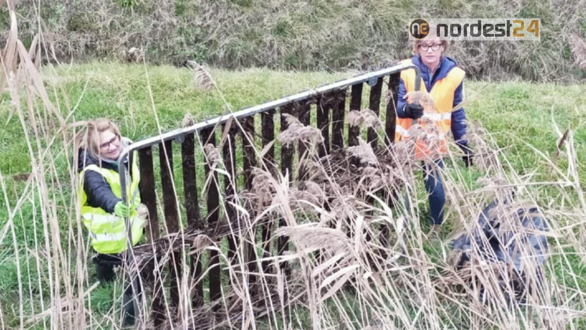 A San Michele al Tagliamento tra i fossi spunta un letto matrimoniale - 