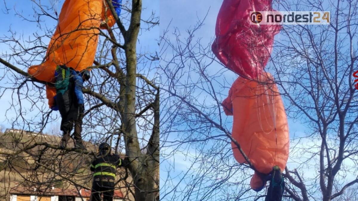 Parapendista rimane appeso ai rami di un albero: illeso - 