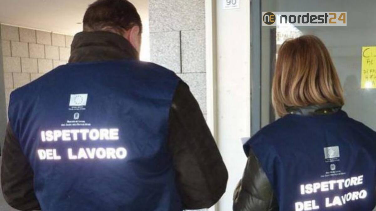 Trieste, percepiva reddito cittadinanza e lavorava in nero: denunciato - 